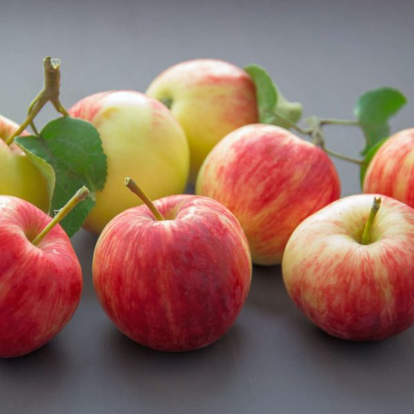 FastenApfel